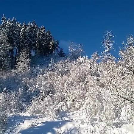 Gaestehaus Buendge *